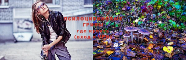 гидра Балабаново